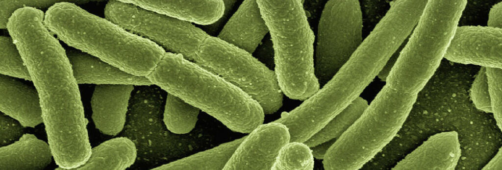 Pathogen Kill Rate Efficacy